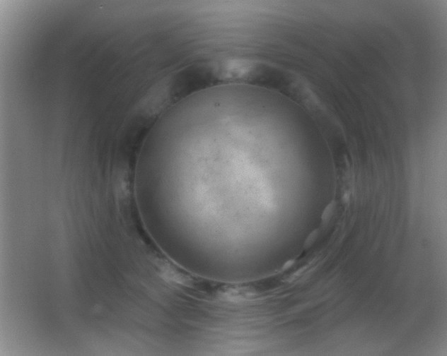 X0000062910561200601131429