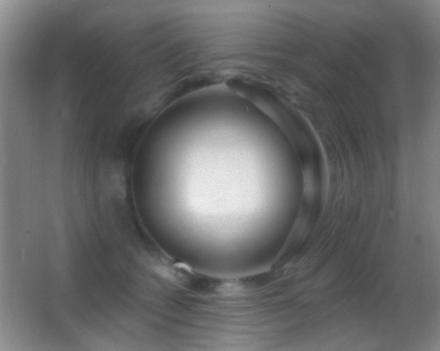 X0000062910562200601131429