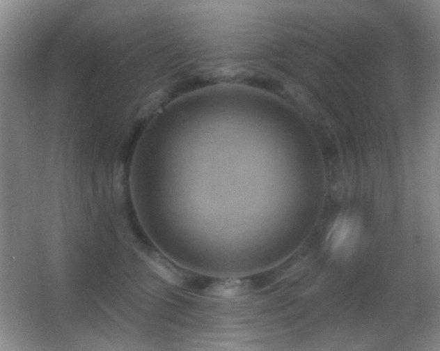 X0000062910563200601131429