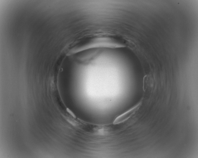 X0000062910564200601131429