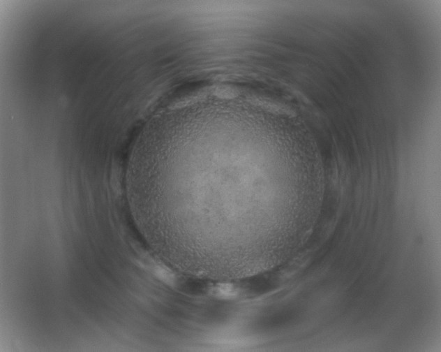 X0000062910565200601131429