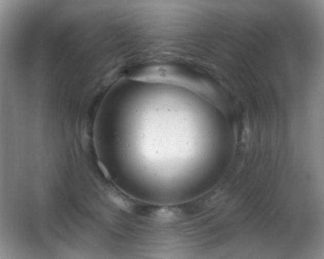 X0000062910566200601131429