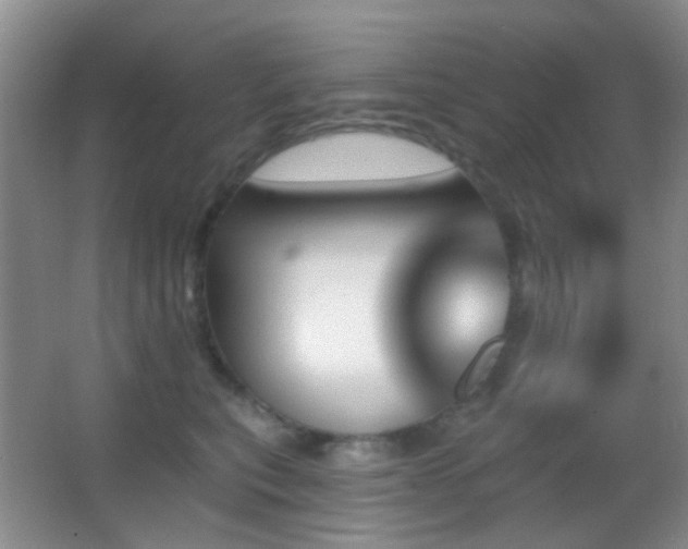 X0000062910567200601131429