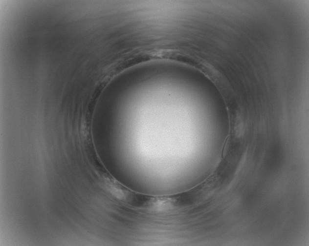 X0000062910569200601131429