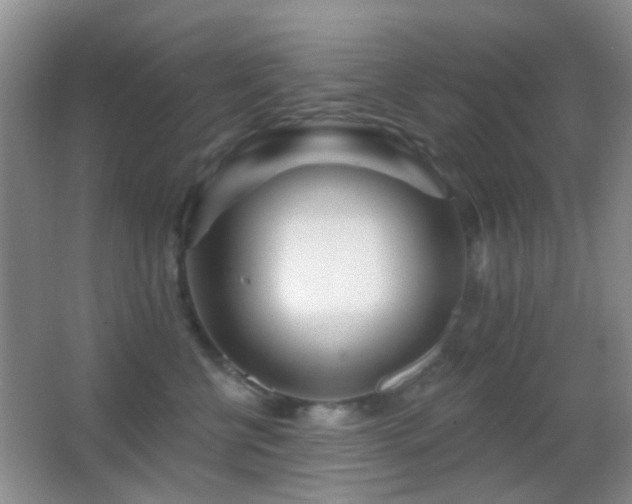 X0000062910570200601131429