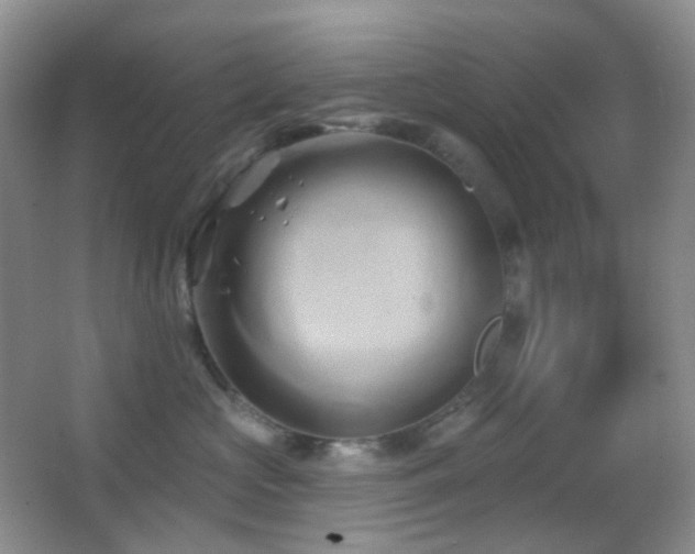 X0000062910573200601131429