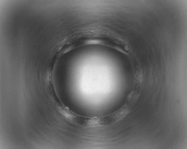 X0000062910574200601131429