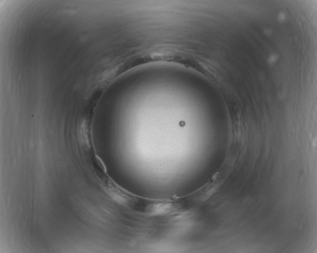 X0000062910575200601131429