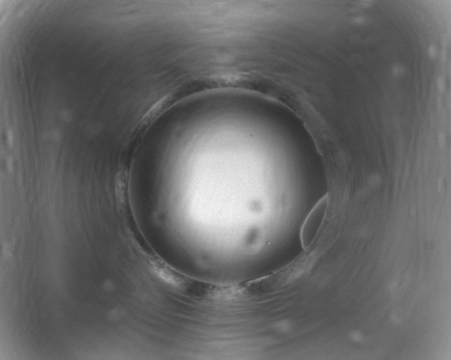 X0000062910576200601131429