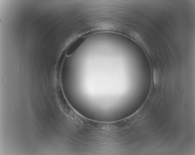 X0000062910579200601131428