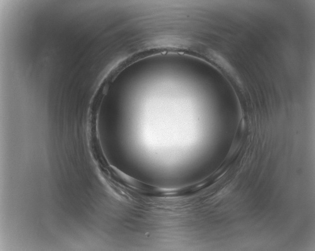 X0000062910580200601131428