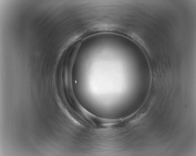 X0000062910581200601131428