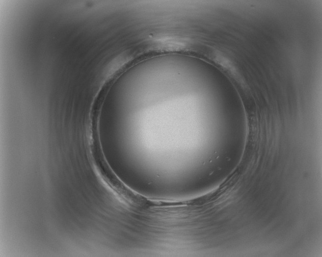 X0000062910582200601131428