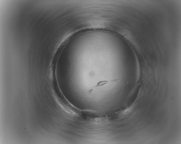 X0000062910584200601131428