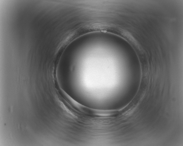 X0000062910585200601131428