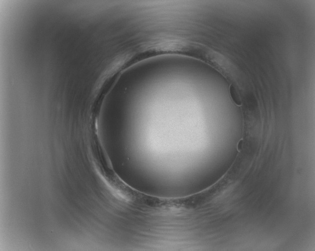 X0000062910586200601131428