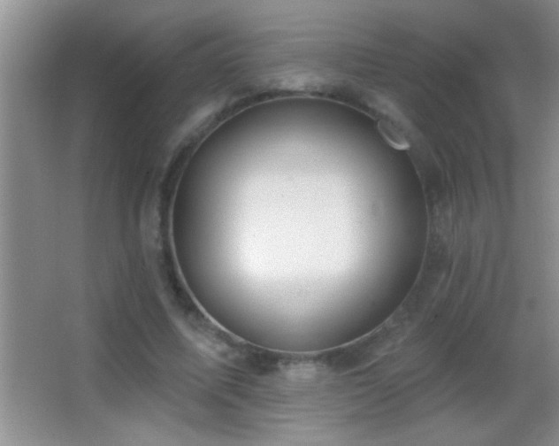 X0000062910587200601131428