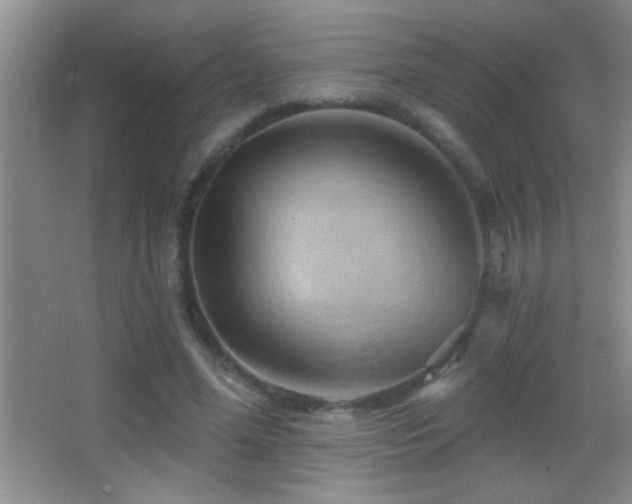 X0000062910588200601131428