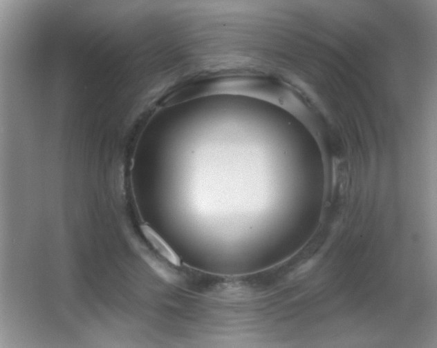 X0000062910589200601131428