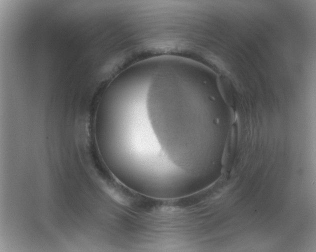 X0000062910590200601131428