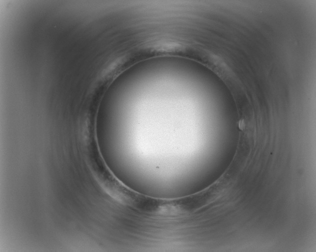 X0000062910591200601131428