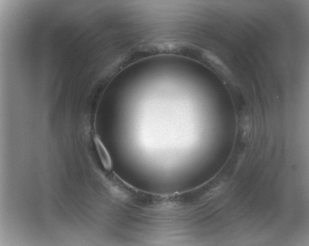 X0000062910593200601131428