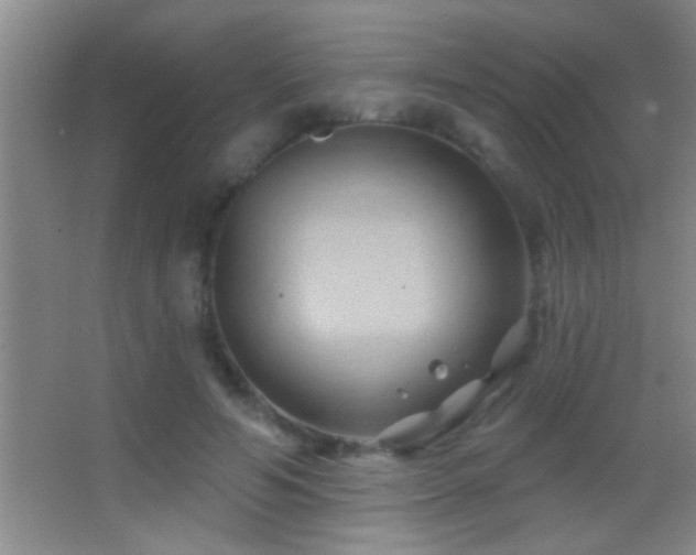 X0000062910594200601131428