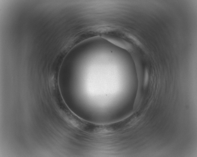 X0000062910597200601131428