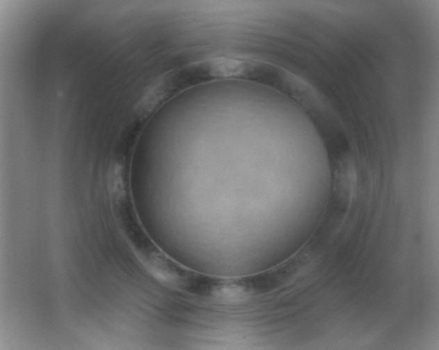 X0000062910598200601131428