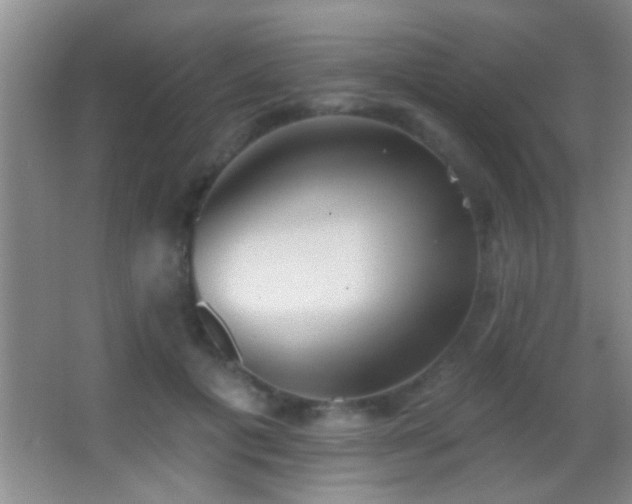 X0000062910601200601131428