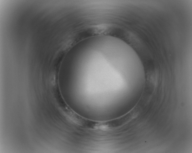 X0000062910602200601131428