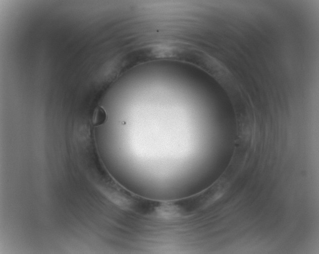 X0000062910603200601131428