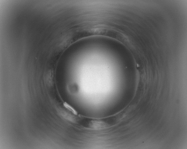 X0000062910605200601131428