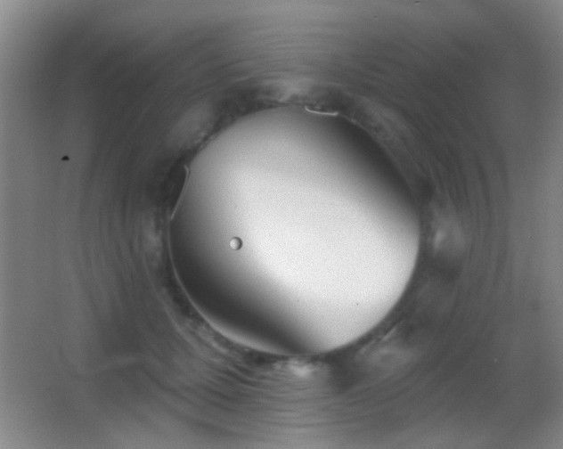 X0000062910607200601131428