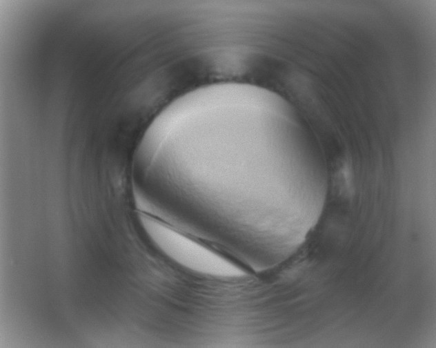 X0000062910608200601131428