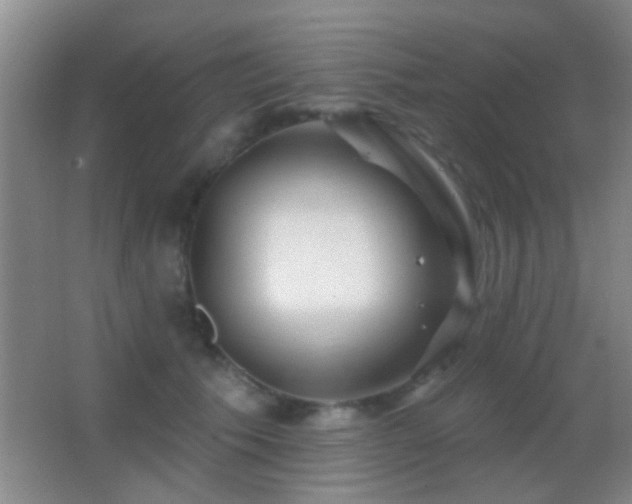 X0000062910609200601131428