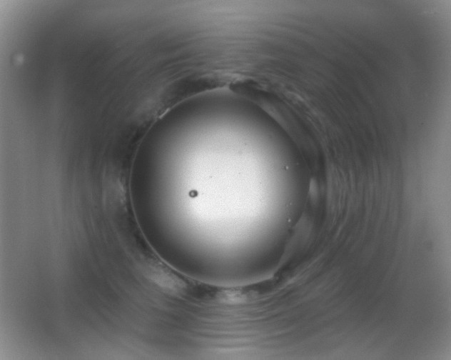 X0000062910613200601131428