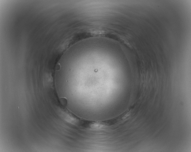 X0000062910614200601131428