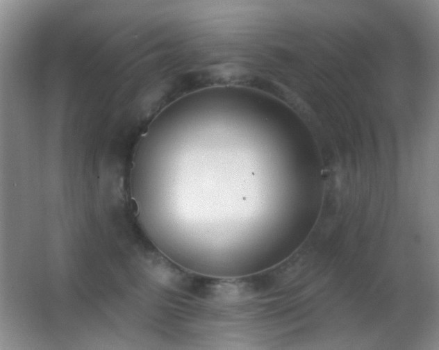 X0000062910615200601131428