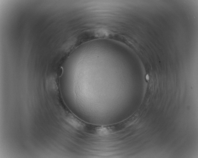 X0000062910616200601131428