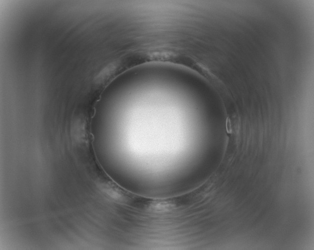 X0000062910619200601131428