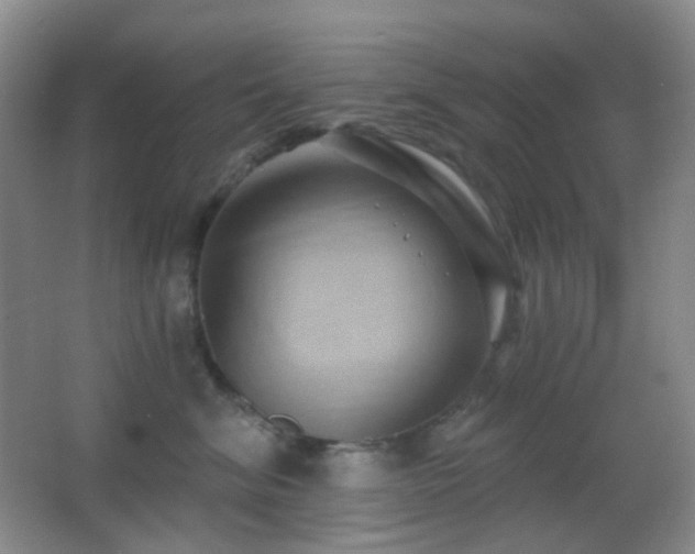 X0000062910620200601131428