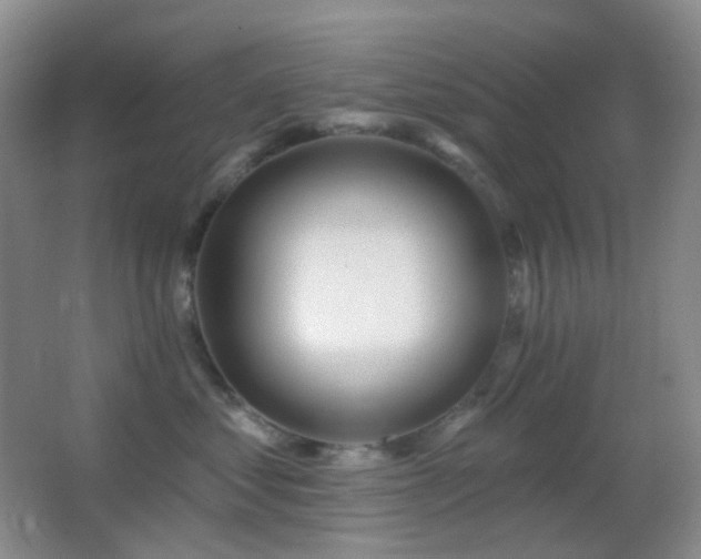 X0000062910621200601131428