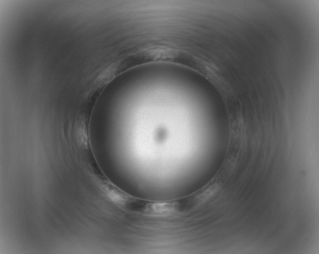 X0000062910622200601131428