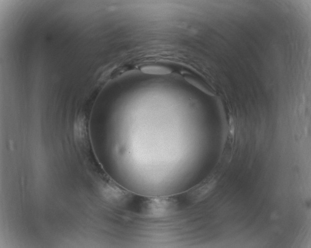 X0000062910623200601131428