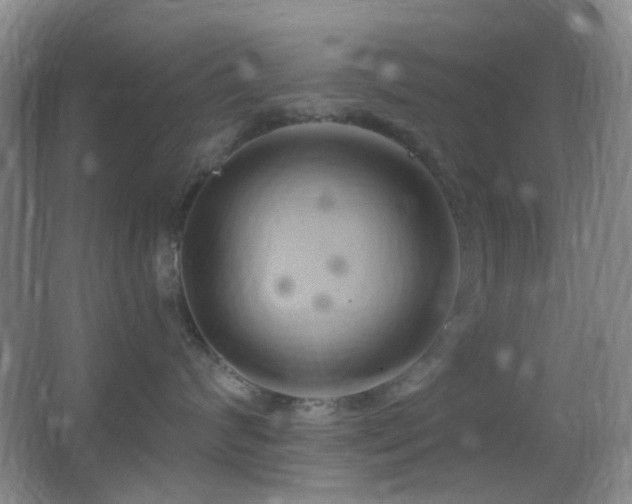 X0000062910624200601131428