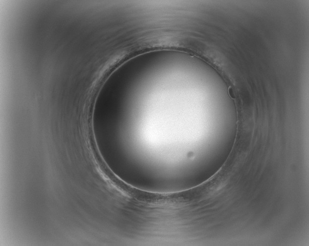 X0000062910625200601131427