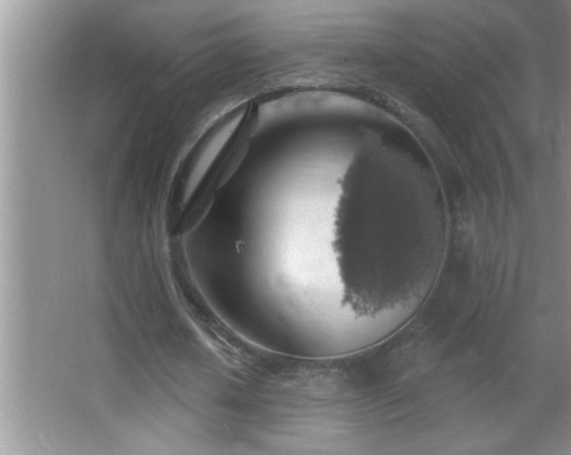 X0000062910626200601131427