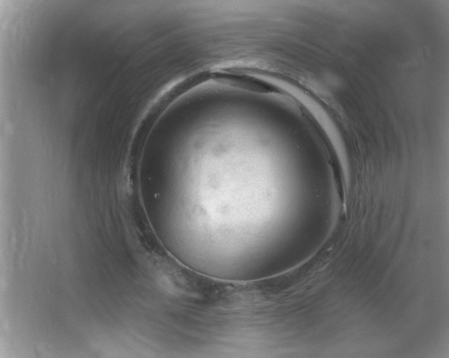 X0000062910628200601131427