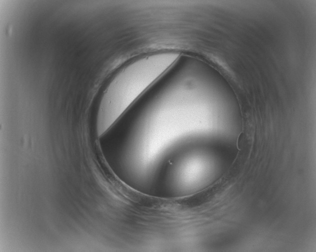 X0000062910631200601131427